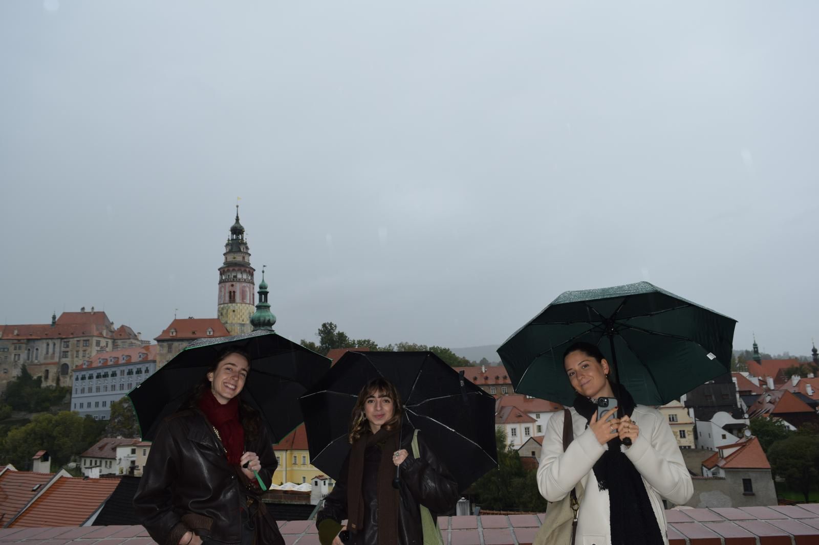 WhatsApp Image 2025 11 10 at 19.57.31 1