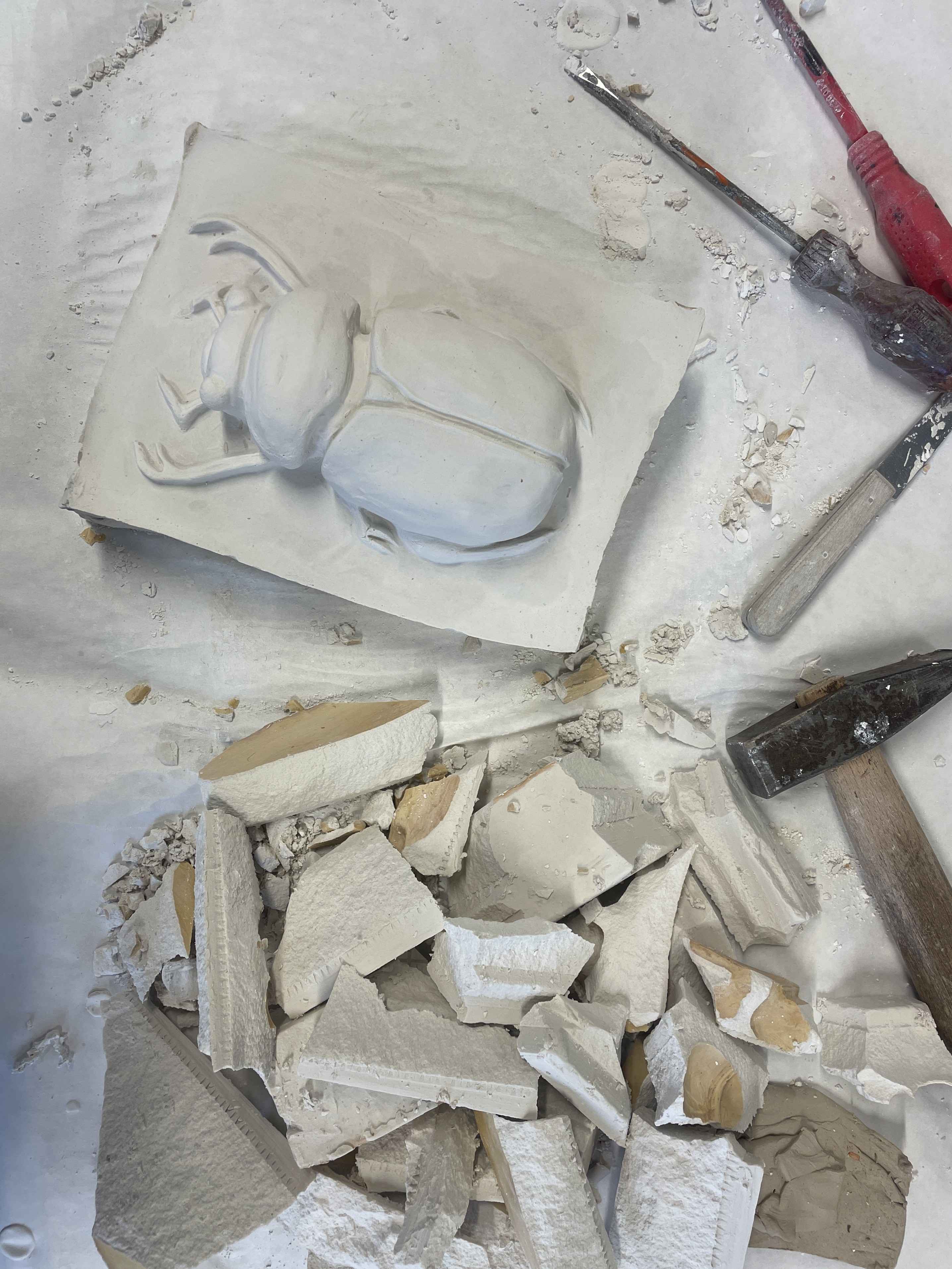 IMG.Escarabajo 11zon