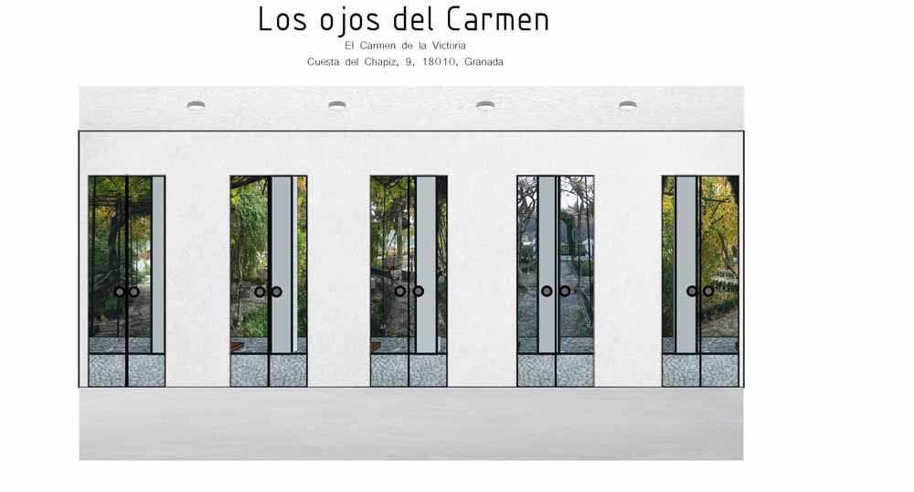 Los ojos del carmen